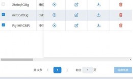 视频爆料表单,一窥网络舆论背后的真相