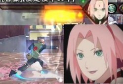 五月高招s爆料视频,揭秘热门专业与录取内幕