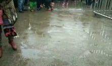 江苏沛县爆料事件最新消息,最新进展及影响揭秘