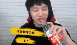 厂长直播爆料视频,揭秘游戏幕后制作细节与行业内幕