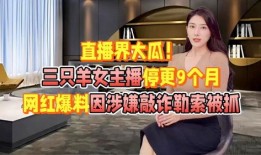 直播大瓜爆料视频,揭秘娱乐圈惊人内幕