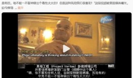 美国高管爆料视频最新网站,最新网站内幕大曝光