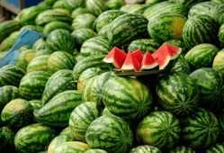 徽县网红吃瓜,揭秘当地美食文化新潮流