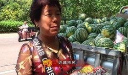 武都网红吃瓜群众事件真相,真相背后的网络舆论风暴