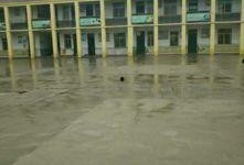 江苏沛县爆料事件最新消息,最新进展及影响揭秘