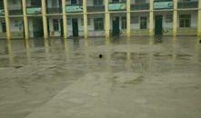 江苏沛县爆料事件最新消息,最新进展及影响揭秘