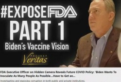 美国高管爆料视频最新网站,最新网站内幕大曝光