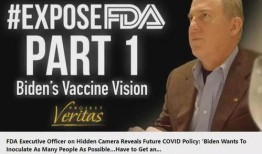 美国高管爆料视频最新网站,最新网站内幕大曝光