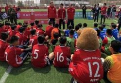 足球爆料计划最新,独家内幕，揭秘赛场风云