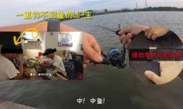 钓鱼爆料视频最新大全集,揭秘钓鱼高手们的实战技巧与经验分享