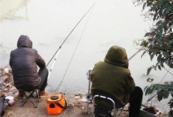 钓鱼爆料视频最新大全集,揭秘钓鱼高手们的实战技巧与经验分享