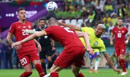 世界杯剧本爆料大全集最新,最新爆料大全集深度解析