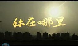 近日娱乐新闻爆料视频大全,热点事件尽收眼底