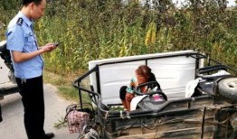 杞县柿园车祸最新爆料视频