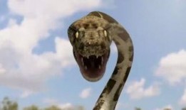 蟒蛇电影在线观看,惊悚刺激的在线观影之旅