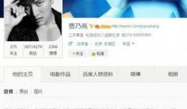 李小璐老公爆料视频最新,揭秘婚姻内幕，真相令人震惊