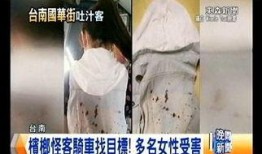 陕西老李前妻爆料新闻视频,揭秘婚姻内幕，真相令人震惊