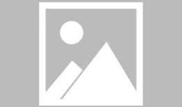 辛盹在线观看,揭秘古代奇才的传奇人生