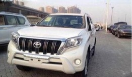 新款霸道爆料视频播放大全,全方位视频解析，尽览全新霸主风采