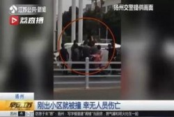 江苏女子爆料新闻视频,揭露惊人真相！