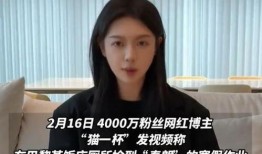 爆料假粉事件视频播放,视频播放背后的真相曝光