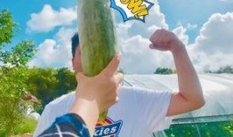 某音网红吃瓜,某音网红背后的惊人真相