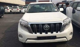 新款霸道爆料视频播放大全,全方位视频解析，尽览全新霸主风采