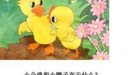 小鸭子老师爆料视频大全,揭秘教育界的真实一面