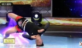 少林小子爆料视频,独家爆料视频背后的惊人真相