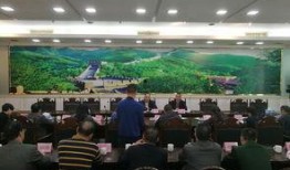 遂溪县新闻爆料,突发事件引发关注，详情即将揭晓