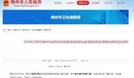 新型冠病毒最新爆料,病毒变异追踪与全球防控策略解析