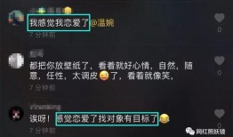 酒吧直男爆料视频大全集,视频大全集深度剖析