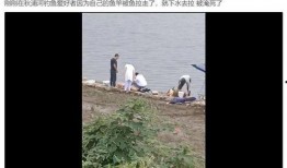 钓鱼爆料视频最新大全集,揭秘钓鱼高手们的实战技巧与经验分享