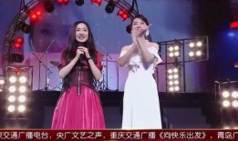 圈内爆料张瀚小说,揭秘娱乐圈背后的爱恨情仇