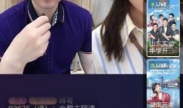 鹤川大人被爆料视频播放,揭秘幕后真相与网络舆论影响