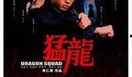 电影《猛龙》在线观看,激战正酣，热血沸腾的巅峰对决！