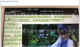 娱乐大爆料李子柒视频,揭秘传统农耕文化魅力