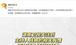 娱乐圈吃瓜专业术语,揭秘明星幕后故事与八卦风云