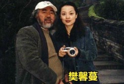侠夫人爆料樊馨蔓视频在线观看,在线观看背后的惊人内幕
