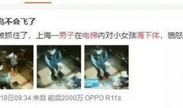男女恶心视频在线观看,在线观看背后的真相与警示