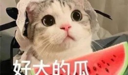 吃瓜网红两字网名大全,那些以“吃瓜”为名的网络红人