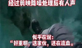 爆料蓝台遇害事件视频,真相与疑云交织
