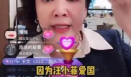 张兰最新直播爆料微博,揭秘家族企业传承与个人情感纠葛