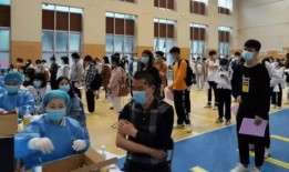 镇平爆料传销事件最新消息,揭秘涉案人员及资金流向