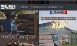 爆料揭秘和平精英视频,视频爆料背后的真实游戏世界
