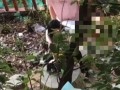 吃瓜事件网红楠楠视频,揭秘娱乐圈幕后真相
