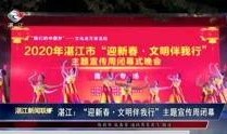 湛江新闻大爆料视频,揭秘本地热点事件背后的真相