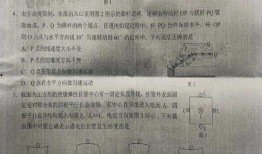 小羊事件爆料最新消息是真的吗,真相揭晓，官方回应证实？