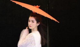 圈内人爆料哈妮克孜,神秘面纱下的美丽传奇