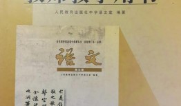 语文数学书最新爆料,深度解析教学革新与核心素养培养